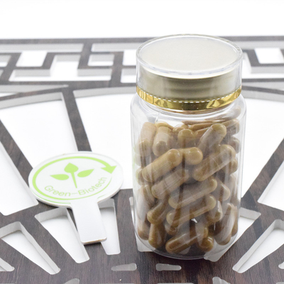Ergänzung zur Gesundheitsversorgung Reiner Panax Ginseng Pulver Panax Ginseng Extrakt 5% bis 80% Ginsenosid