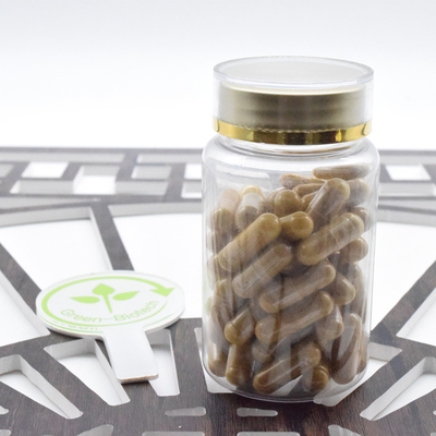Werkszulieferung Ginsengwurzelpulver Panax Ginseng Extrakt 20:1 Ginsenosid 80%