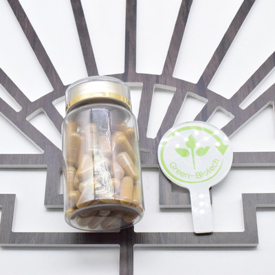 Ginseng Wurzeln Trockener Ginseng Frischer Ginseng zu einem guten Preis