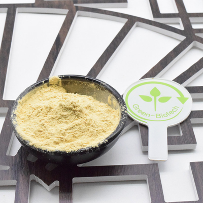 Großhandel 100% Bio-Ginsingwurzel Panax Ginseng in großen Mengen