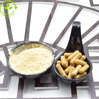 Großhandel hochwertiger, preiswerter Panax Ginseng