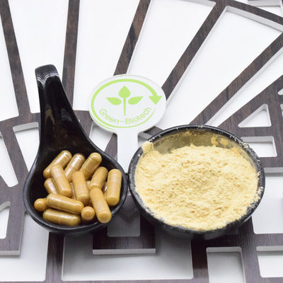 Getrocknete Rote Ginsengwurzel Kleine Scheibe ganze Rote Ginsengwurzel 8 Jahre