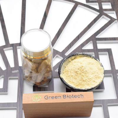 Kostenlose Probe Panax Ginseng Ginsenoside 30% Rot Panax Ginseng Pulver