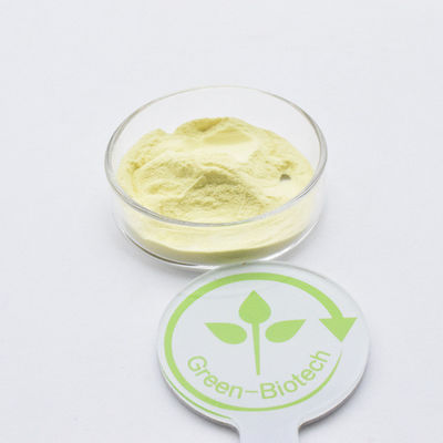 Private Label Kava-Extrakt 30% Gelb Feinpulver Kavalacton zum guten Preis
