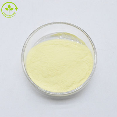 Hochwertig 100% reine Kavalactone 30% Kavawurzextrakt Kava-Extrakt