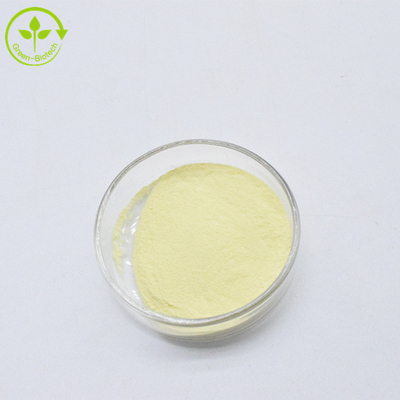 Private Label Gelbes Feinpulver Kava-Extraktpulver 30% Kavalactone