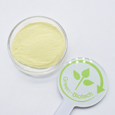 Hochwertiges Kava-Wurzel-Extrakt 50% Kavalactone
