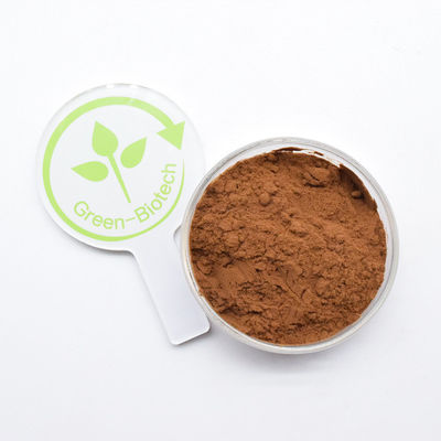 Hochwertiges Chryzanthemenextrakt 5% Flavone Chryzanthemenblütextrakt