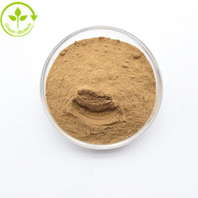 Hochwertiges Dendrobium-Extrakt in großen Mengen Dendrobinpulver 0,5%-98%