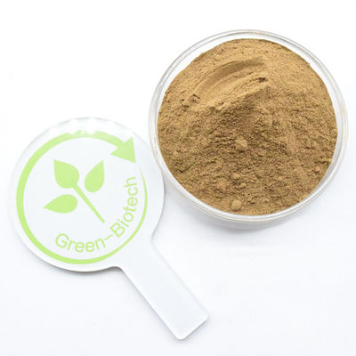 Dendrobinpulver aus reinem Naturdendrobium