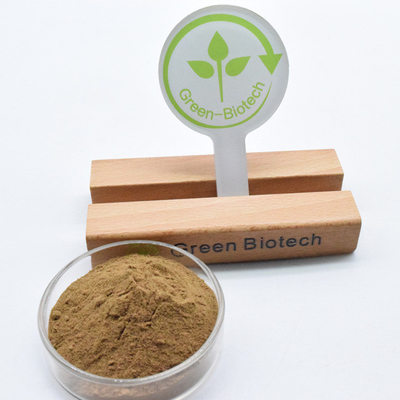Beste Preis Hochwertige kostenlose Probe Dendrobium Stamm Extrakt Pulver zum Verkauf