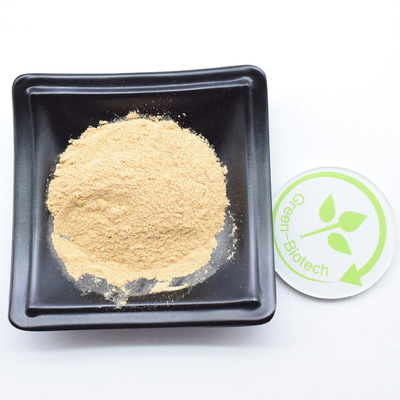 Hochwertiges Cyanotis Arachnoidea Extrakt 50% bis 98% Beta Ecdysteron Pulver