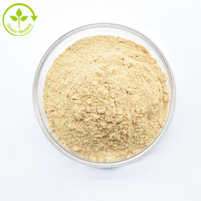 Hochwertiges Cyanotis Arachnoidea Extrakt 50% bis 98% Beta Ecdysteron Pulver