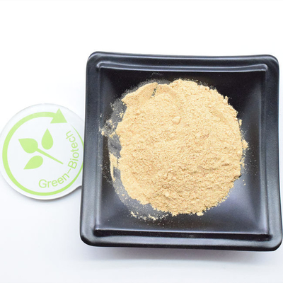 Hochwertiges Gelbbraun Beta Ecdysteron Cyanotis Arachnoidea Extrakt 90%