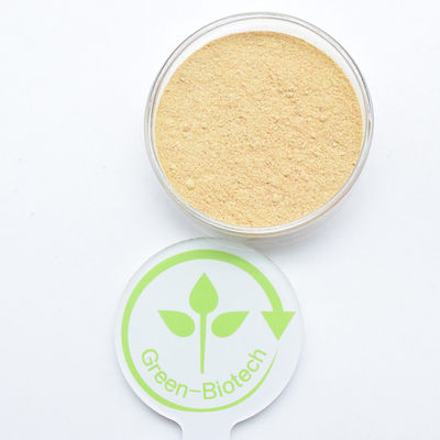 HPLC 90% Cyanotis Arachnoidea Extrakt Beta Ecdysteron Pulver Hydroxyecdyson