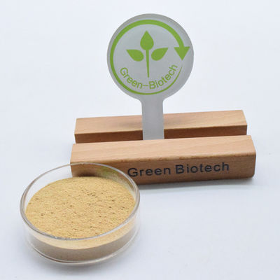 Rein Cyanotis Arachnoidea Wurzel Extrakt Ecdysteron 98% Beta Ecdysteron Pulver