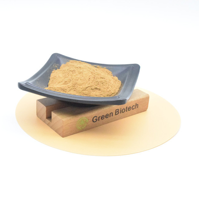Lieferung von Naturpflanzenextrakten von hoher Qualität