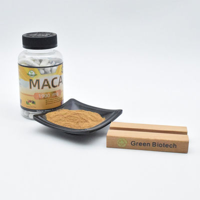 Fabrik-Direktverkauf Maca-Extrakt-Pulver verbessert die männliche Funktion