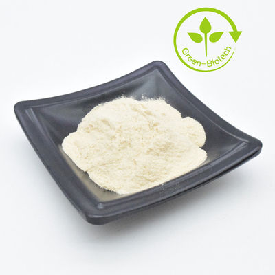 Großhandel Knoblauch-Extrakt Billiges Knoblauchpulver Allicin 100% reiner Knoblauch-Extrakt