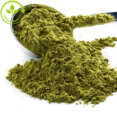 Lieferung reines Pulver Matcha Grüntee Pulver gut für Sie aus Japan