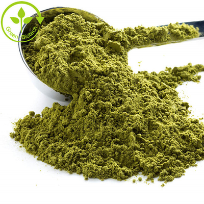 Großhandel Kostenlose Probe Bio-Matcha Privatetikett Grüner Tee Zeremonielles Matcha-Pulver