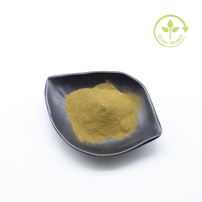 Organische 5% Withanolide Ashwagandha-Extrakt braunes Pulver für Ashwagandha-Kapseln und Gammies
