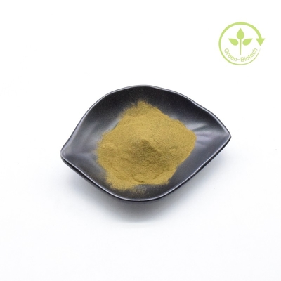 Billiges Bio-Ashwagandha-Wurzel-Extrakt Feinpulver für Ashwagandha-Creme