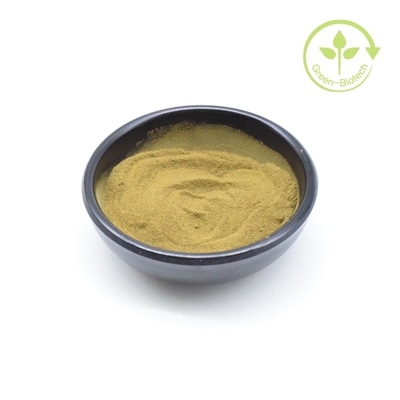 Billiges Bio-Ashwagandha-Wurzel-Extrakt Feinpulver für Ashwagandha-Creme