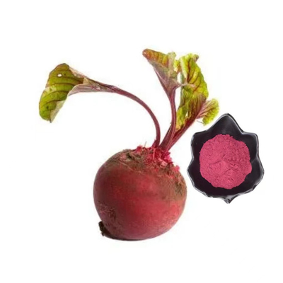 Bestseller Produkte Rüben Rübenwurzelpulver Rübenwurzelsaft Pulver
