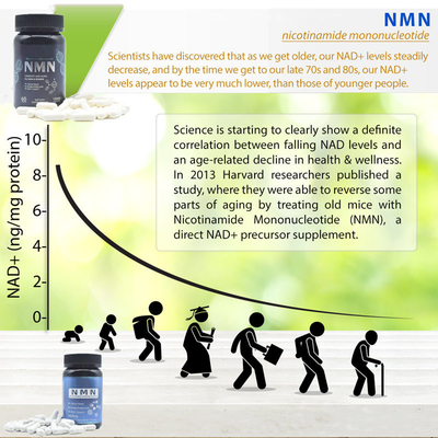 Ergänzungs-Kapsel-Energie-Erhöhung der Langlebigkeits-600mg reine Nmn