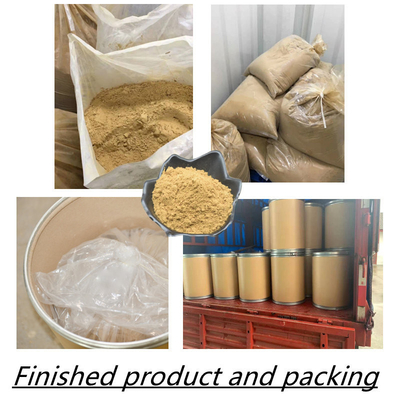 80 Mesh Ginseng Root Extract Powder 1%-80% natürliche Pflanzenauszüge