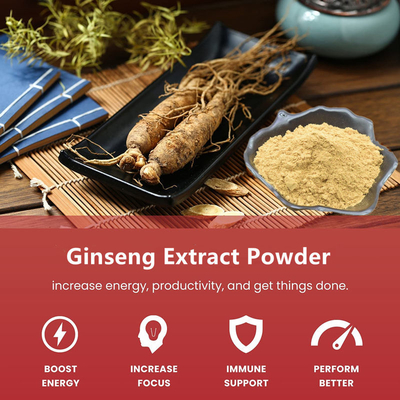 80 Mesh Ginseng Root Extract Powder 1%-80% natürliche Pflanzenauszüge