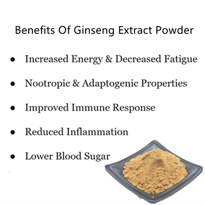 80 Mesh Ginseng Root Extract Powder 1%-80% natürliche Pflanzenauszüge