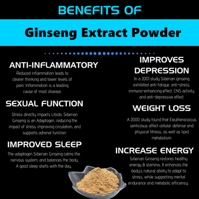 80 Mesh Ginseng Root Extract Powder 1%-80% natürliche Pflanzenauszüge