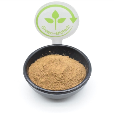 Body Building Ajuga Turkestanica-Auszug-Pulver-Pflanzenauszug-Pulver 500mg 750mg 1000mg