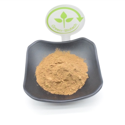 10% Turkesterone Pflanzenauszug-Pulver