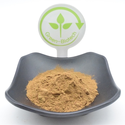 Funktionsajuga Turkestanica pulverisieren Pflanzenauszug-Pulver 750mg 1000mg
