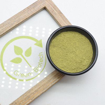 Grüne Bio-AA zeremonielles Matcha pulverisieren Antianaphylaxie organisches 100%