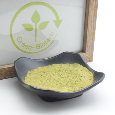 Zeremonielle natürliche Pflanzenauszug-Antianaphylaxie-Antientzündliches Matcha